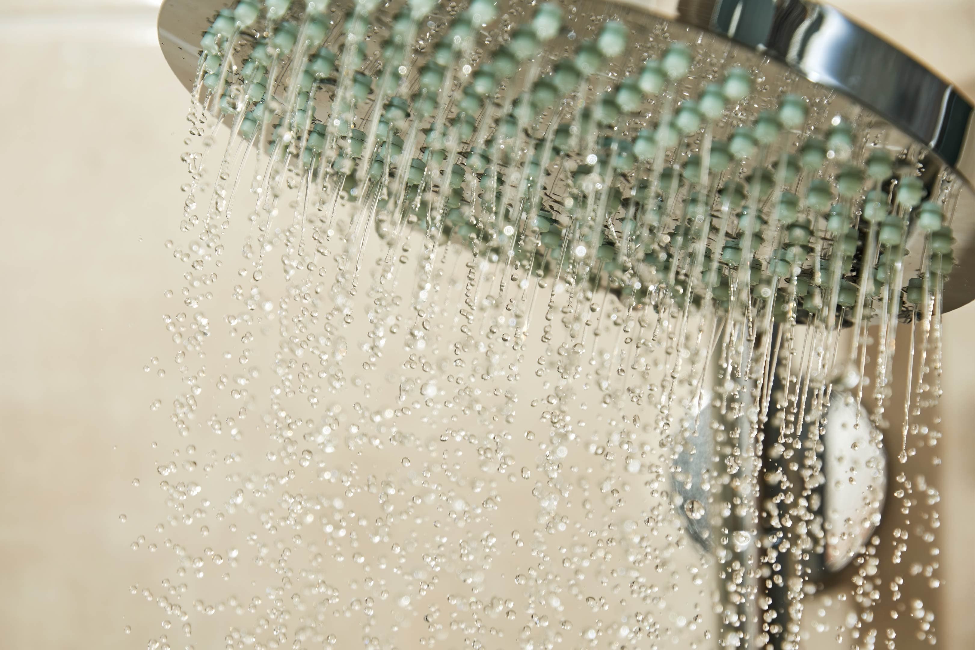 Zenwood amenities — modern fixtures and consistent water supply